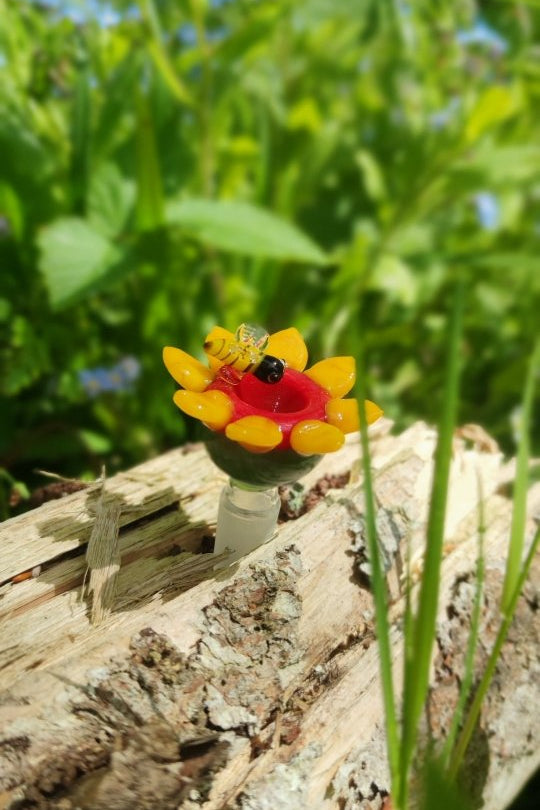 Biene Maja's Bongkopf