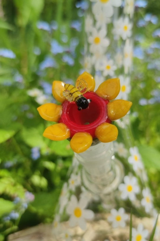 Biene Maja's Bongkopf
