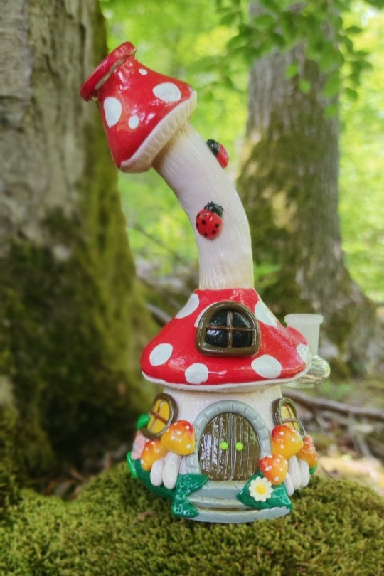 Pilzhaus Bong